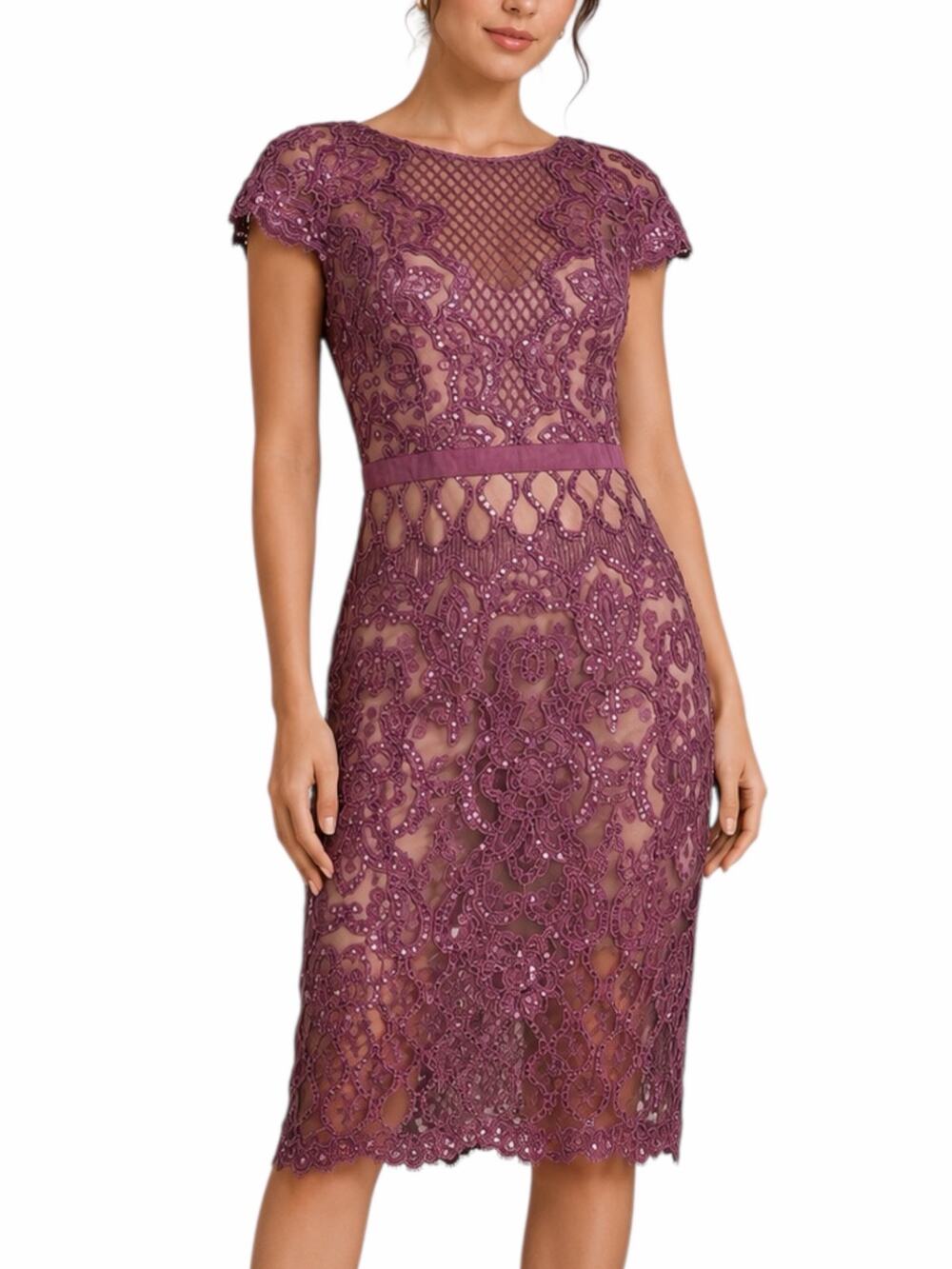 Tadashi Shoji Miranda Sequin Embroidered Cocktail Dress Mauve Size 4